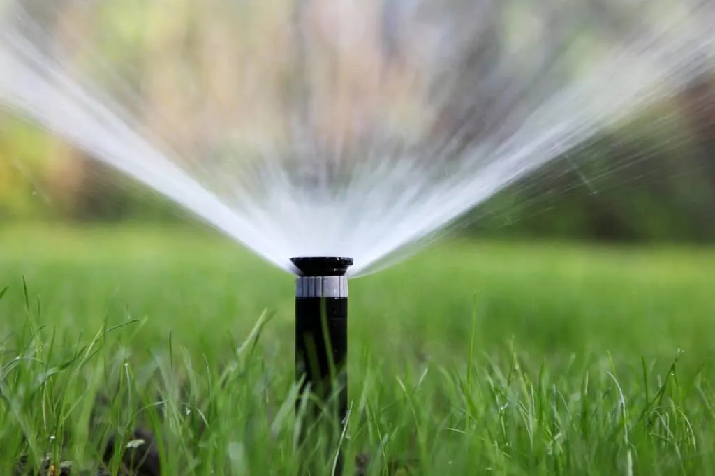 Black pop-up sprinkler raised above the grass throwing a fine umbrella of spray.
