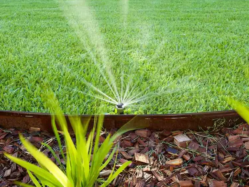 Sprinkler watering a healthy lawn