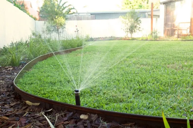 Irrigation: Spray or Sprinkler Irrigation