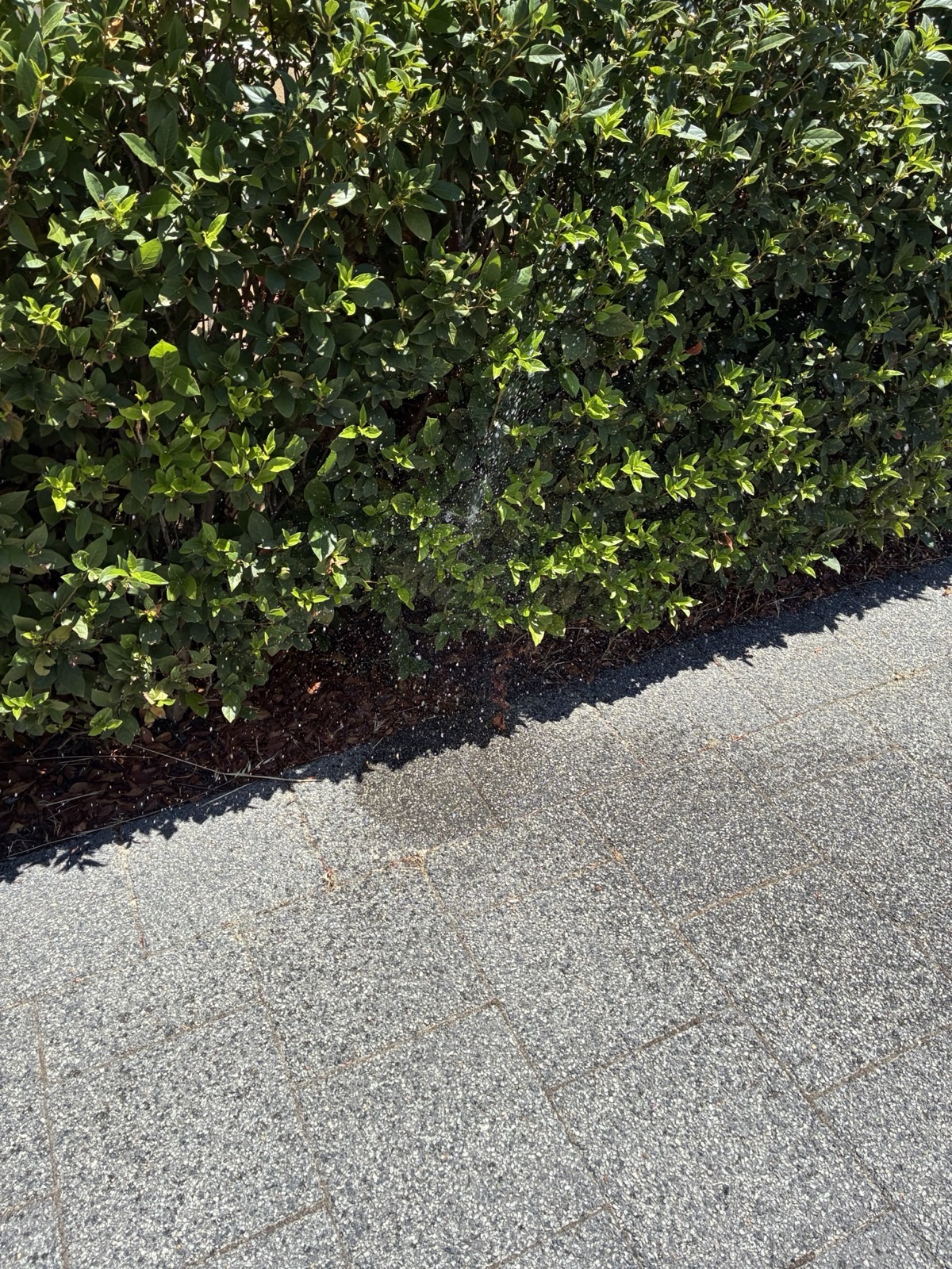 Reticulation work by Perth Reticulation Experts in Balcatta — job photo 2
