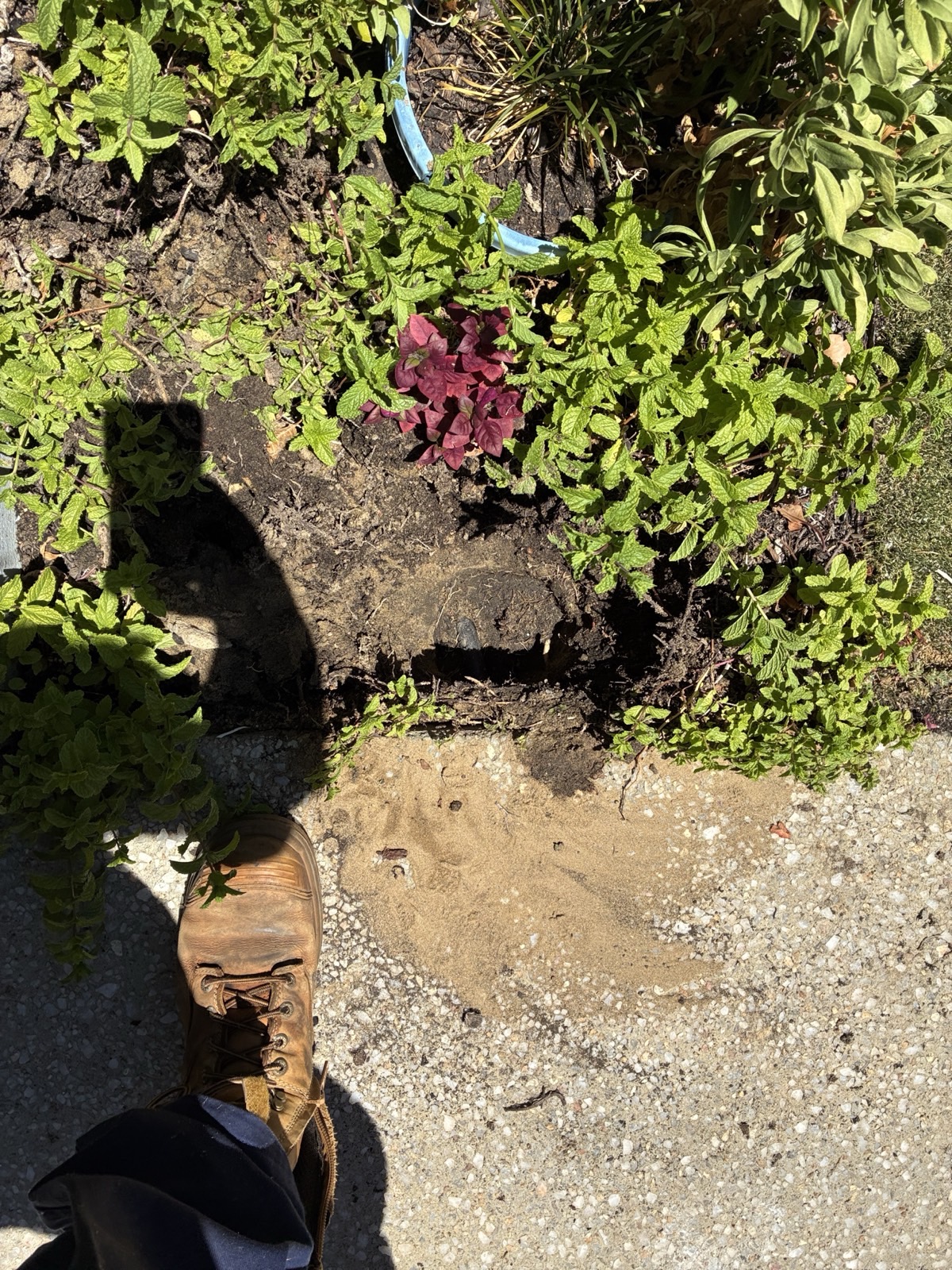 Reticulation work by Perth Reticulation Experts in Balcatta — job photo 4