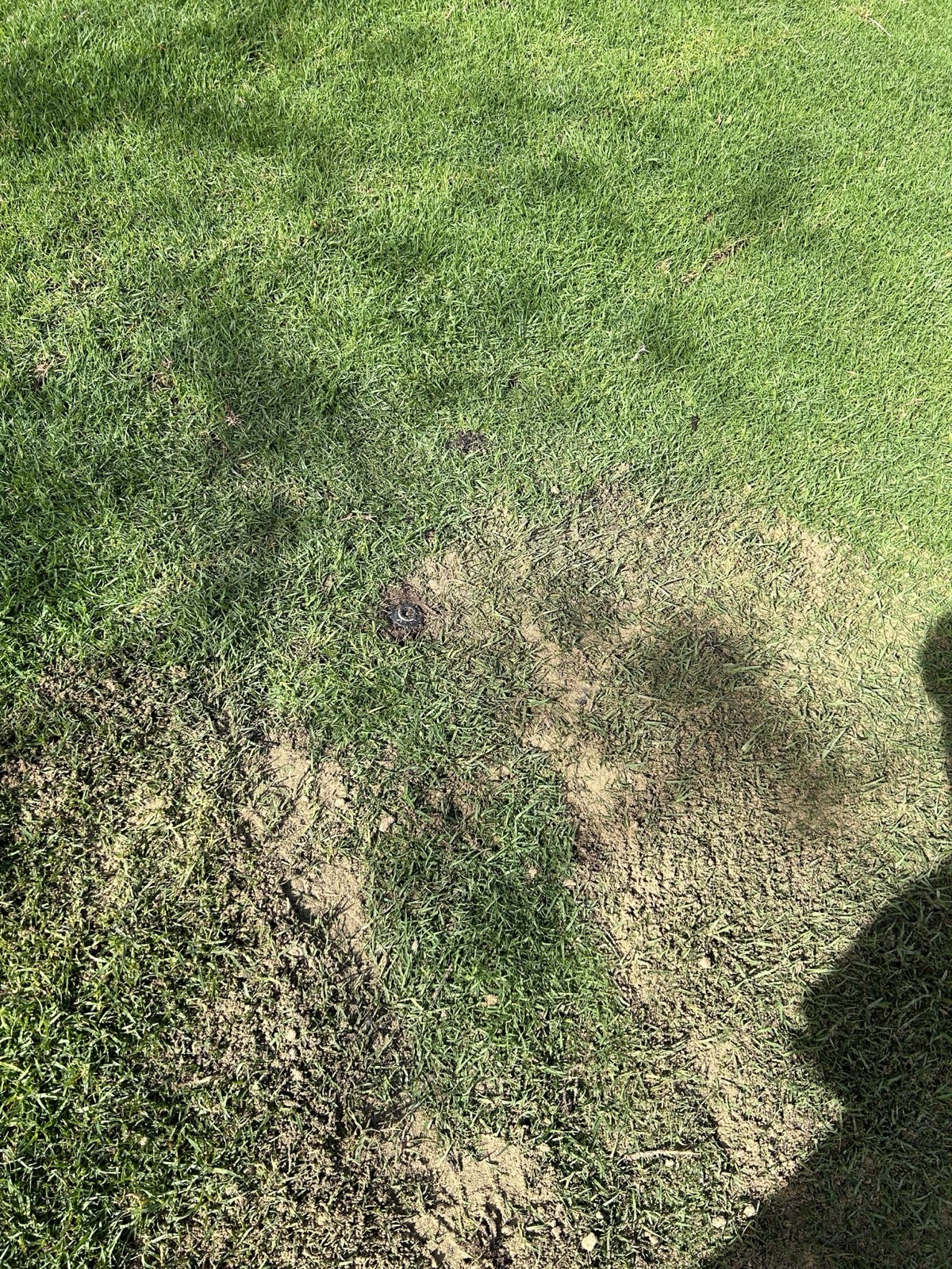 Reticulation work by Perth Reticulation Experts in Baldivis — job photo 1