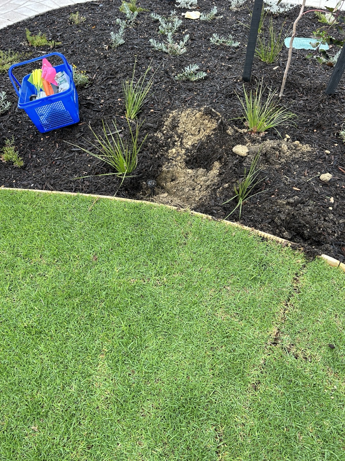 Reticulation work by Perth Reticulation Experts in Baldivis — job photo 2
