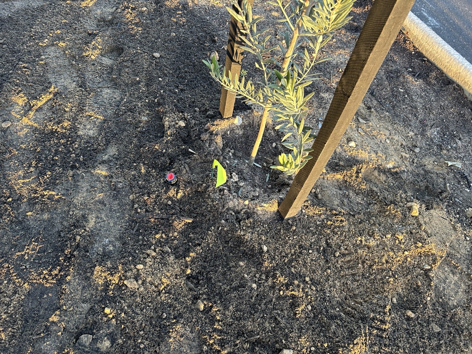 Reticulation work by Perth Reticulation Experts in Baldivis — job photo 4