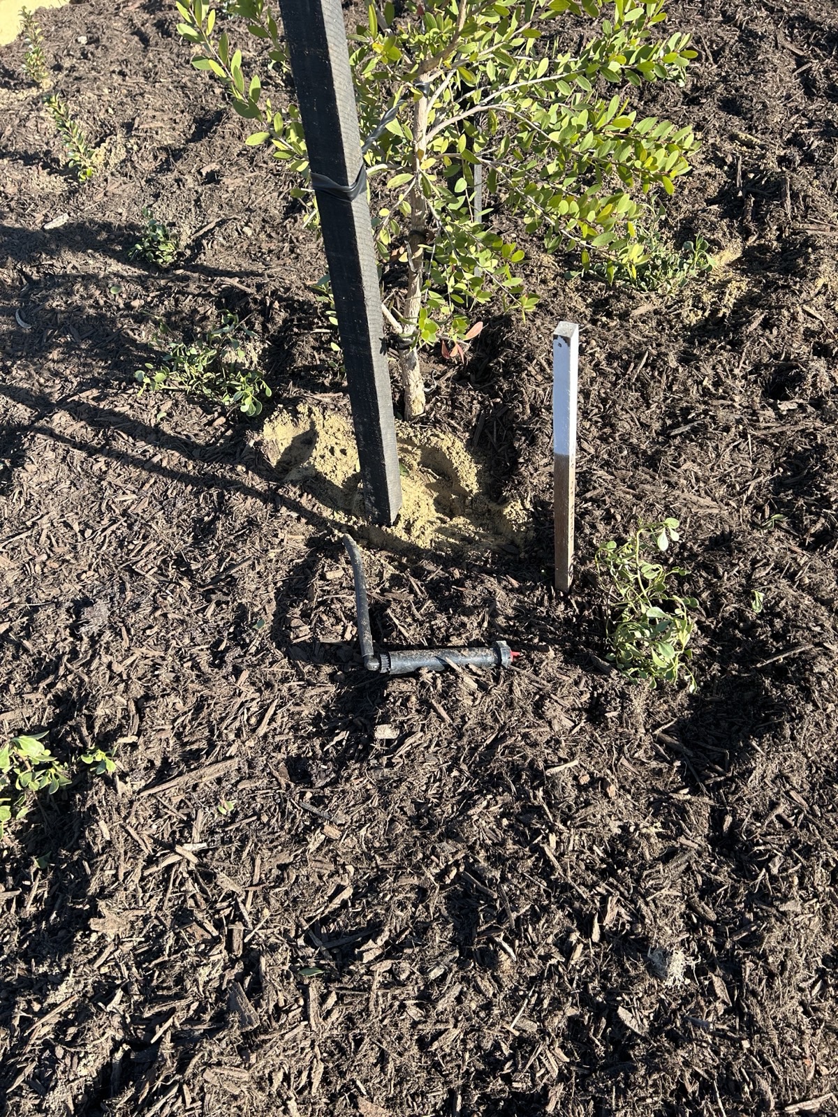 Reticulation work by Perth Reticulation Experts in Baldivis — job photo 5