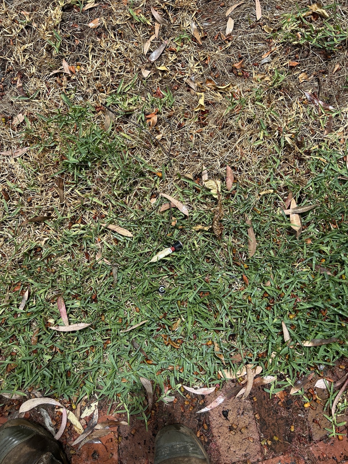 Reticulation work by Perth Reticulation Experts in Bayswater — job photo 1