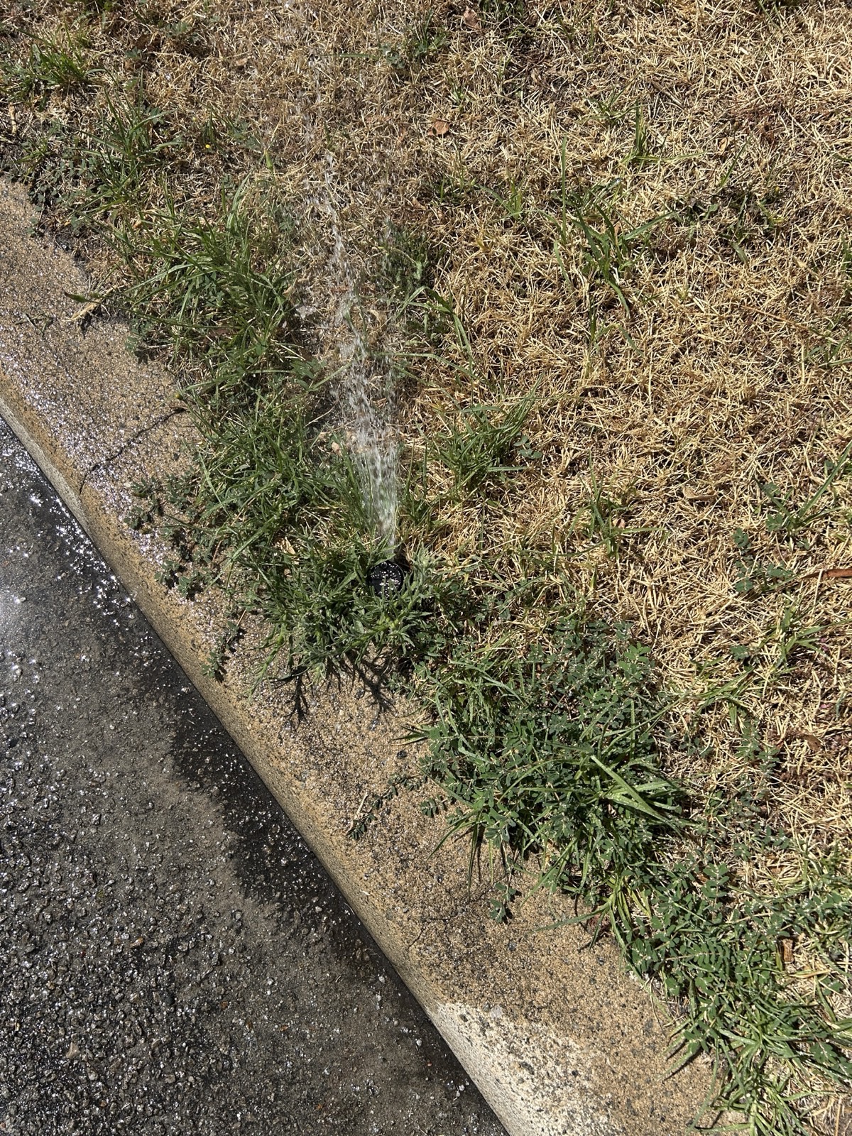Reticulation work by Perth Reticulation Experts in Canning Vale — job photo 2
