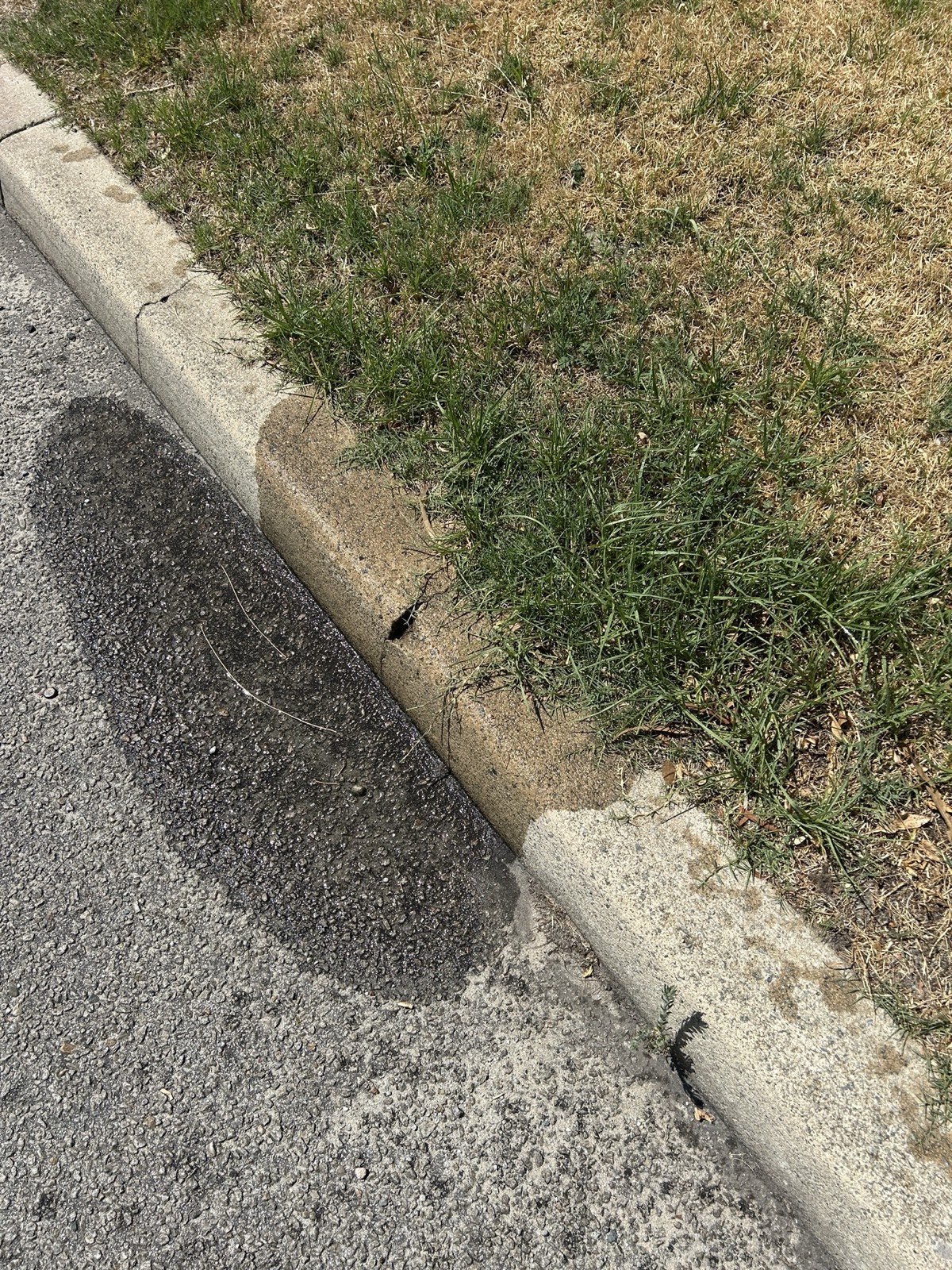 Reticulation work by Perth Reticulation Experts in Canning Vale — job photo 3