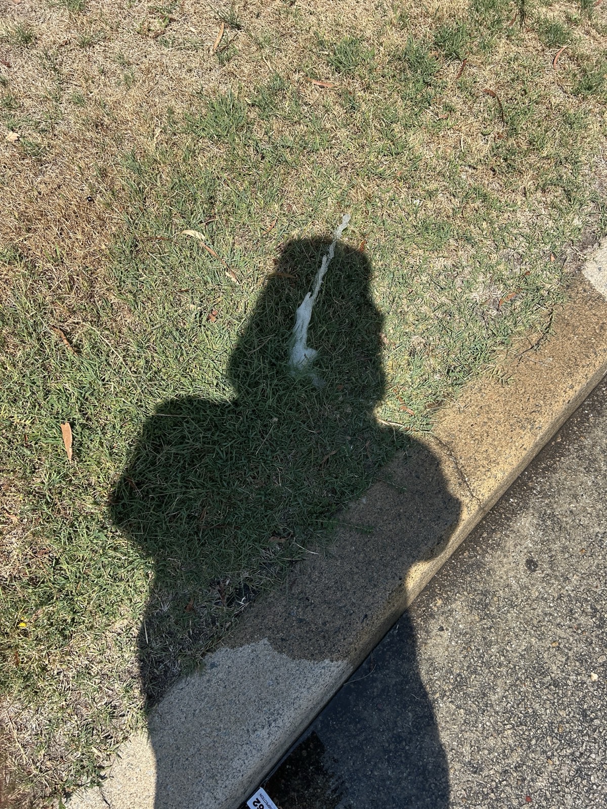 Reticulation work by Perth Reticulation Experts in Canning Vale — job photo 8