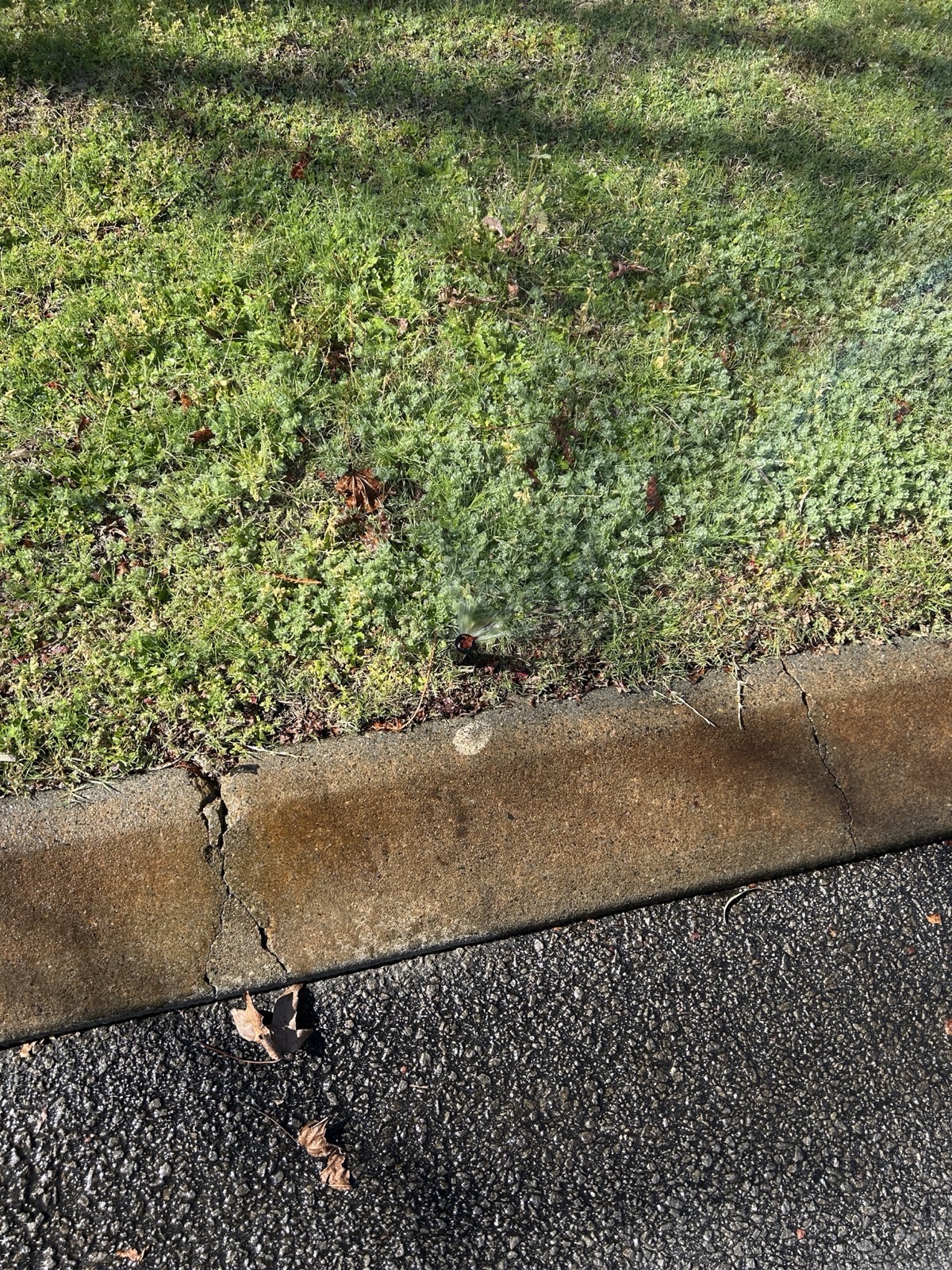 Reticulation work by Perth Reticulation Experts in Ellenbrook — job photo 2