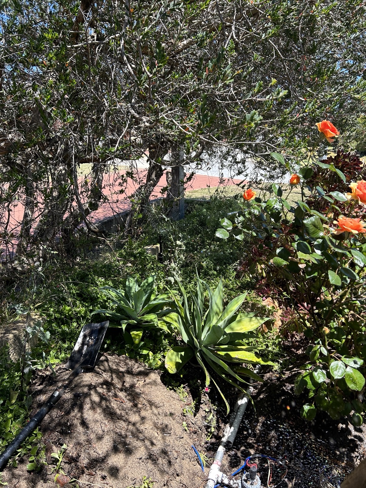 Reticulation work by Perth Reticulation Experts in Ellenbrook — job photo 6