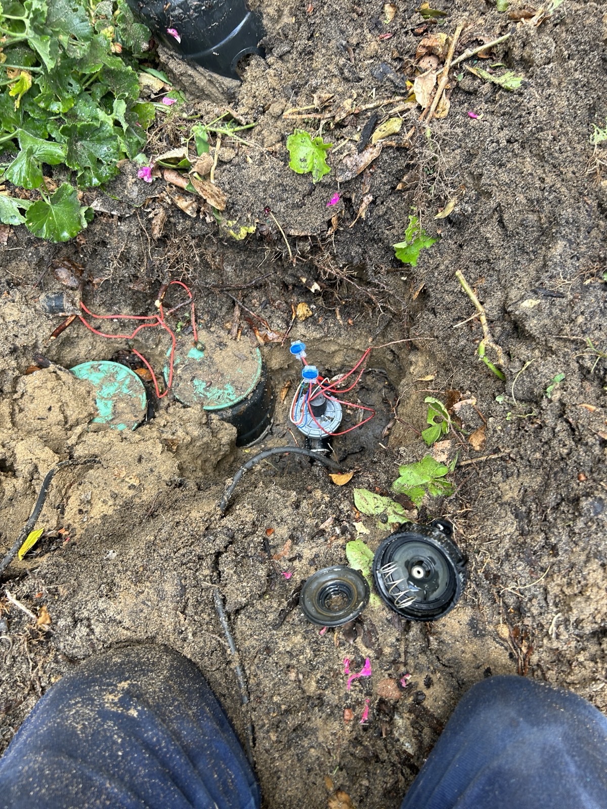 Reticulation work by Perth Reticulation Experts in Innaloo — job photo 5