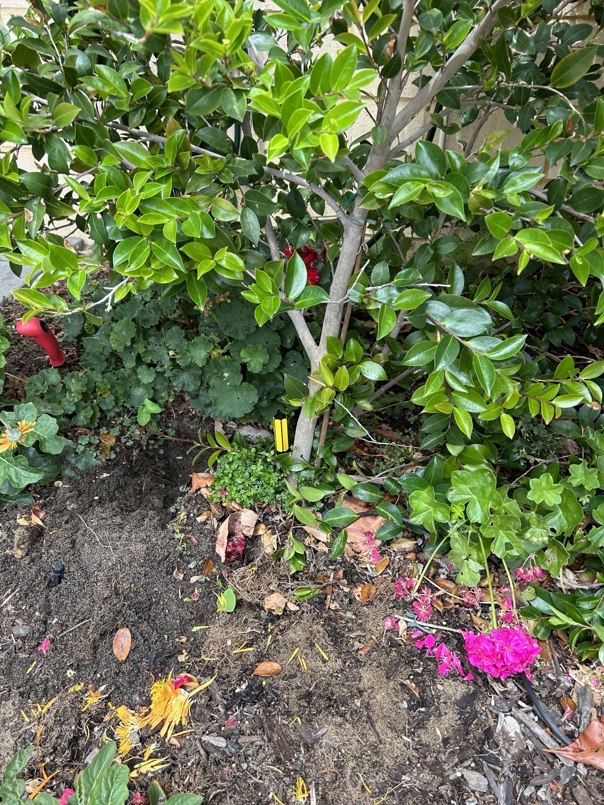 Reticulation work by Perth Reticulation Experts in Innaloo — job photo 6
