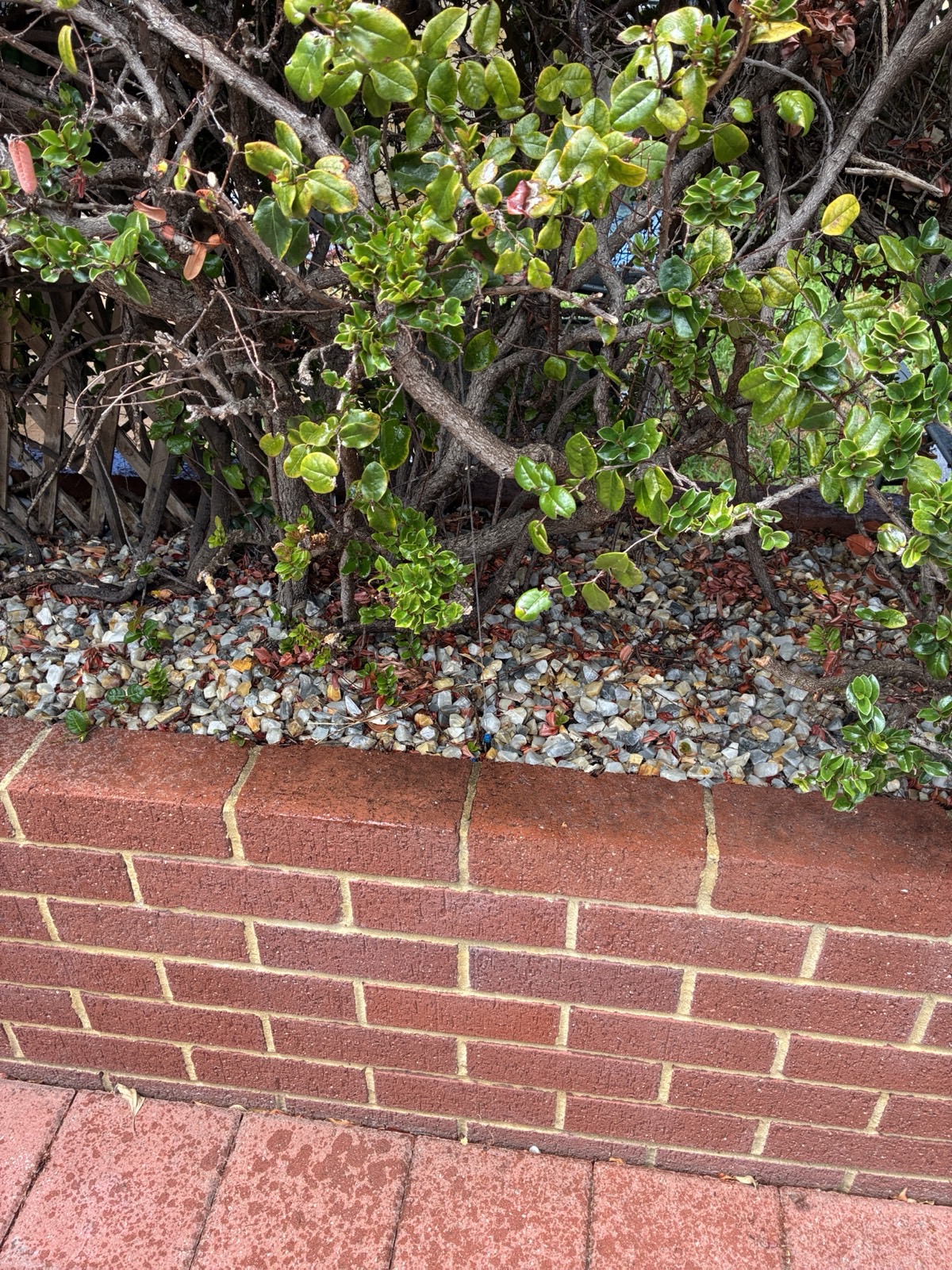 Reticulation work by Perth Reticulation Experts in Innaloo — job photo 7