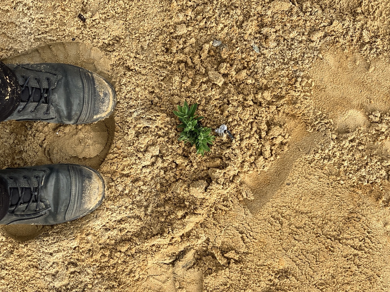 Reticulation work by Perth Reticulation Experts in Lakelands — job photo 7