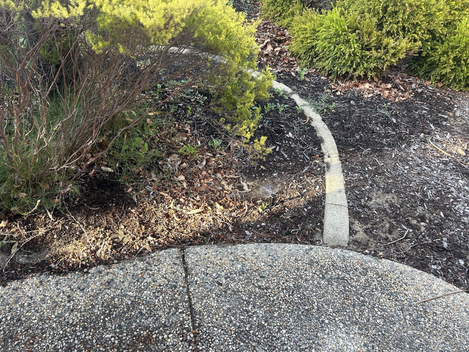 Reticulation work by Perth Reticulation Experts in Melville — job photo 1