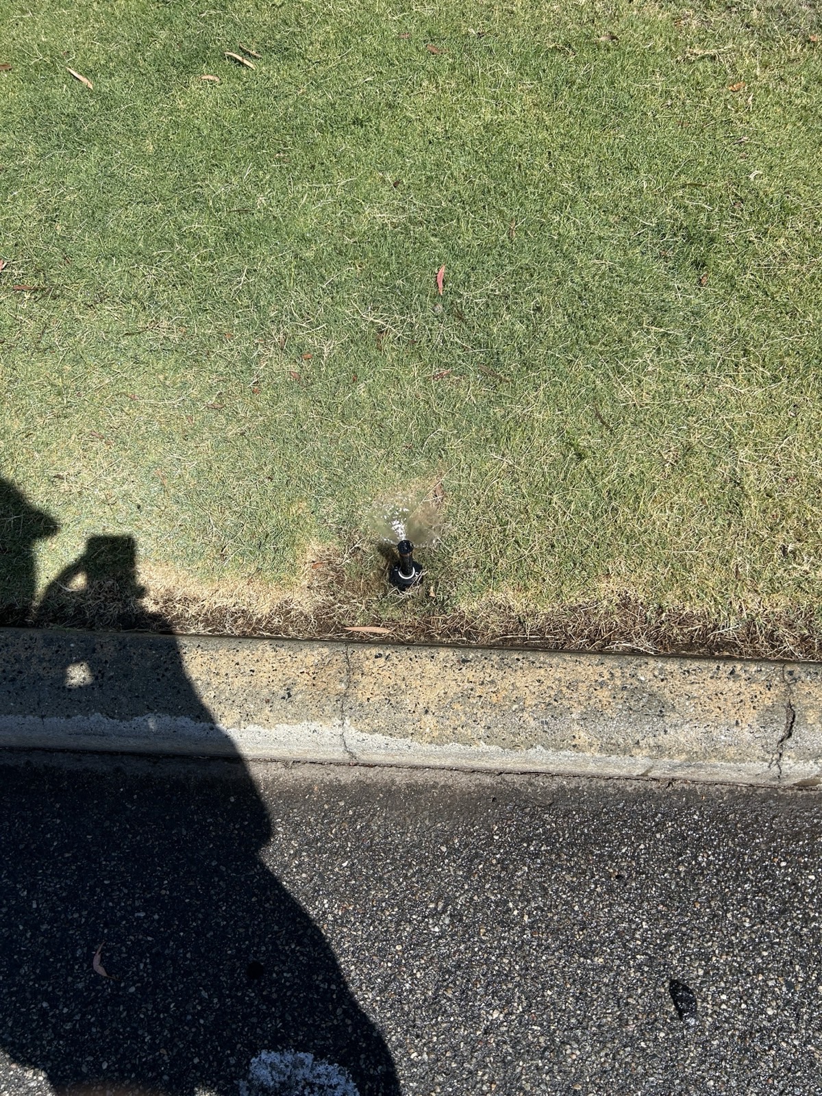 Reticulation work by Perth Reticulation Experts in Melville — job photo 2