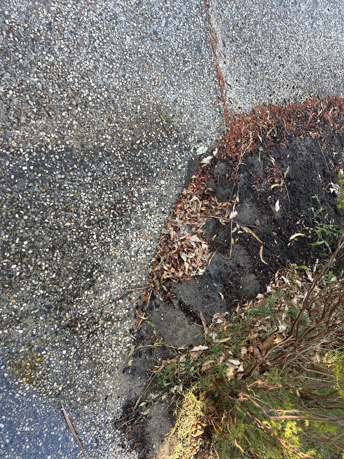 Reticulation work by Perth Reticulation Experts in Melville — job photo 3