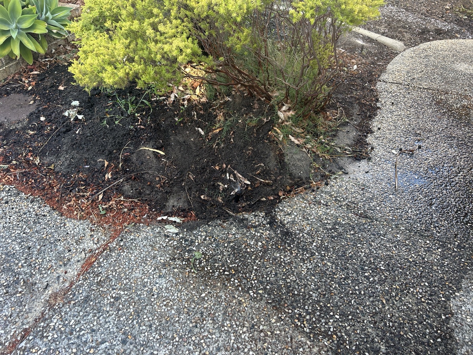 Reticulation work by Perth Reticulation Experts in Melville — job photo 4