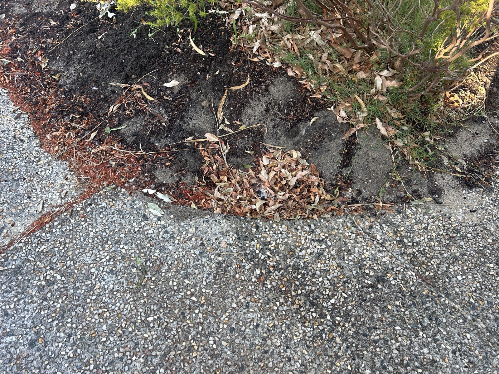 Reticulation work by Perth Reticulation Experts in Melville — job photo 5