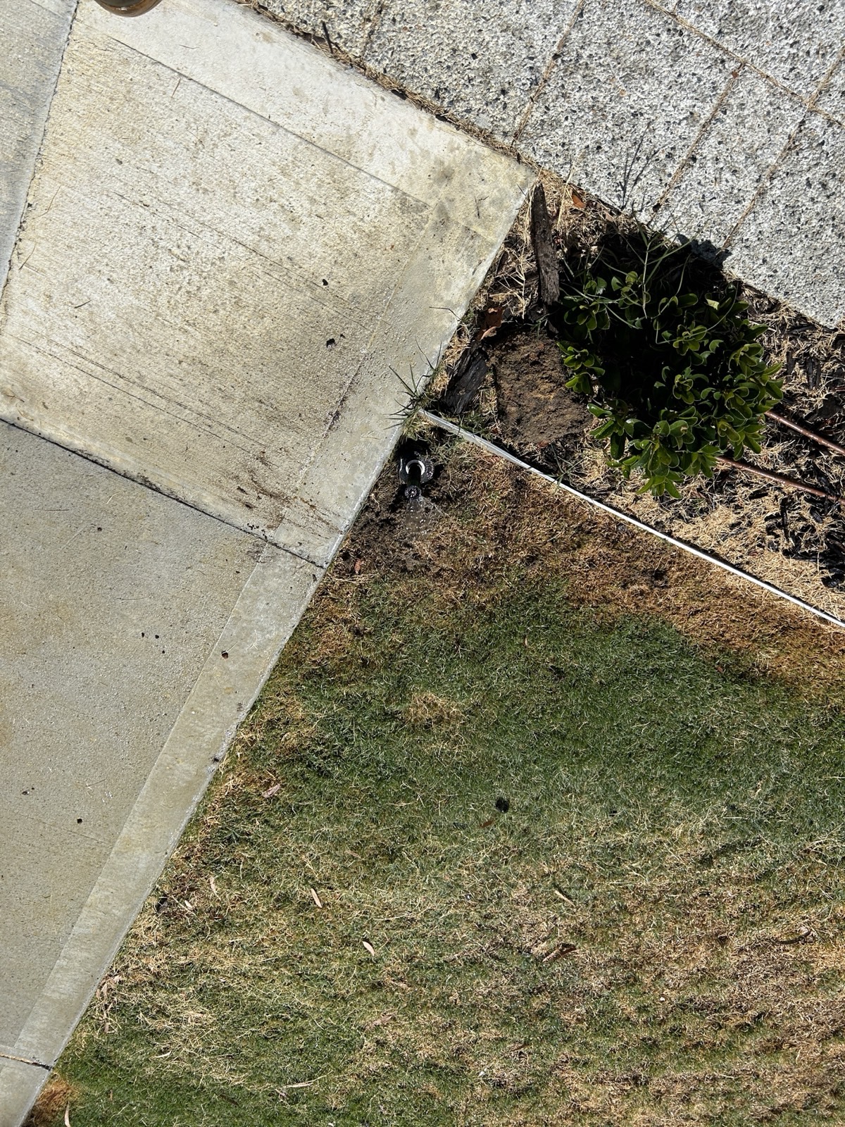 Reticulation work by Perth Reticulation Experts in Melville — job photo 6