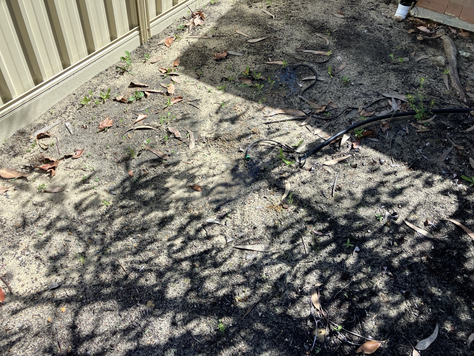 Reticulation work by Perth Reticulation Experts in Midland — job photo 2