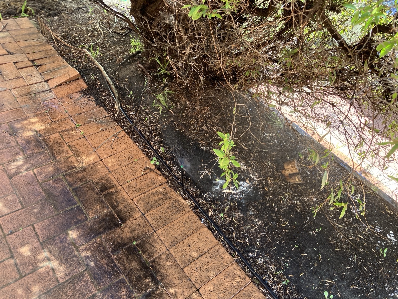 Reticulation work by Perth Reticulation Experts in Midland — job photo 6