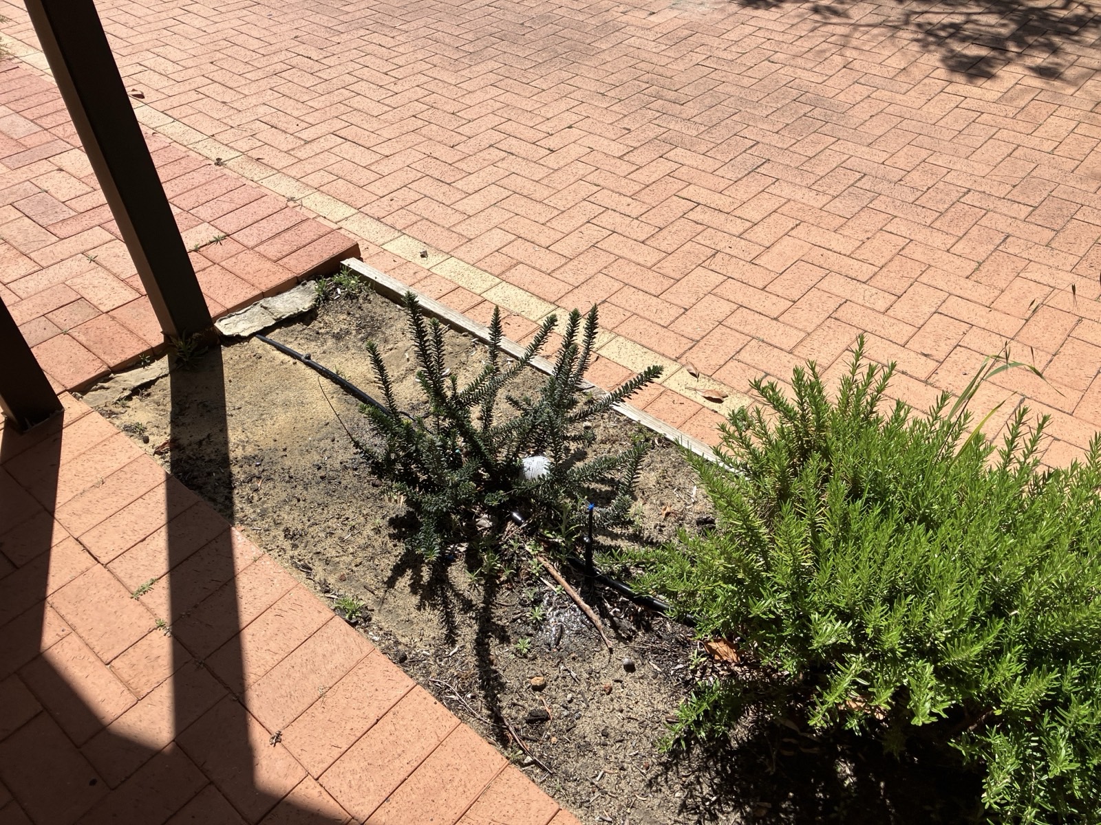 Reticulation work by Perth Reticulation Experts in Midland — job photo 8