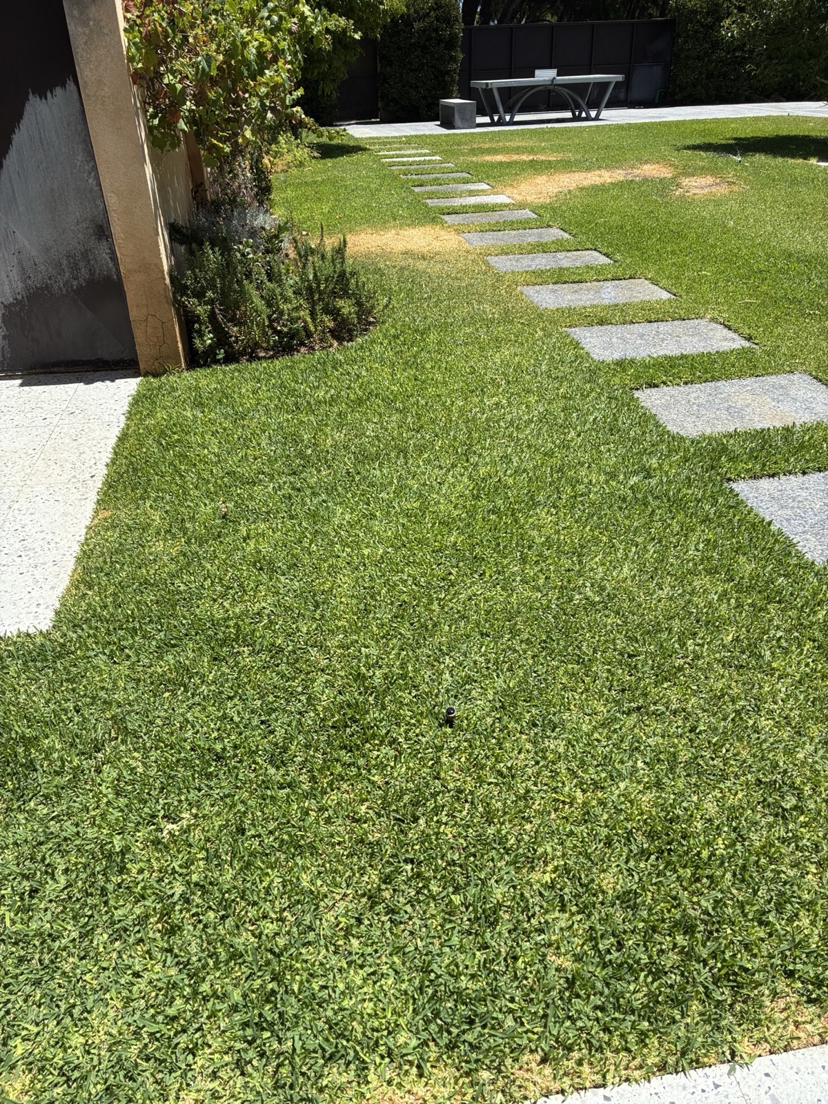 Reticulation work by Perth Reticulation Experts in Mosman Park — job photo 8