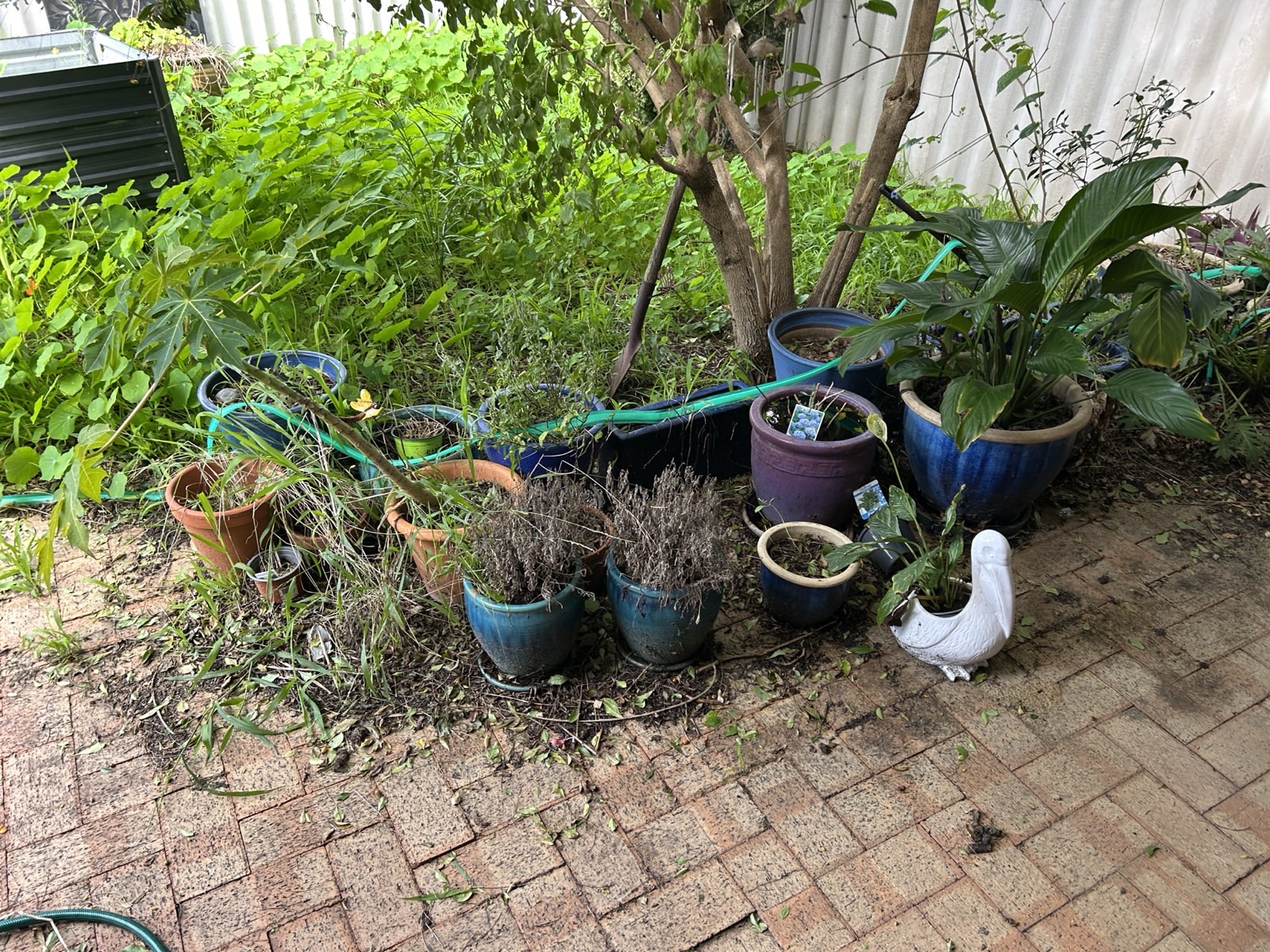 Reticulation work by Perth Reticulation Experts in Nollamara — job photo 3