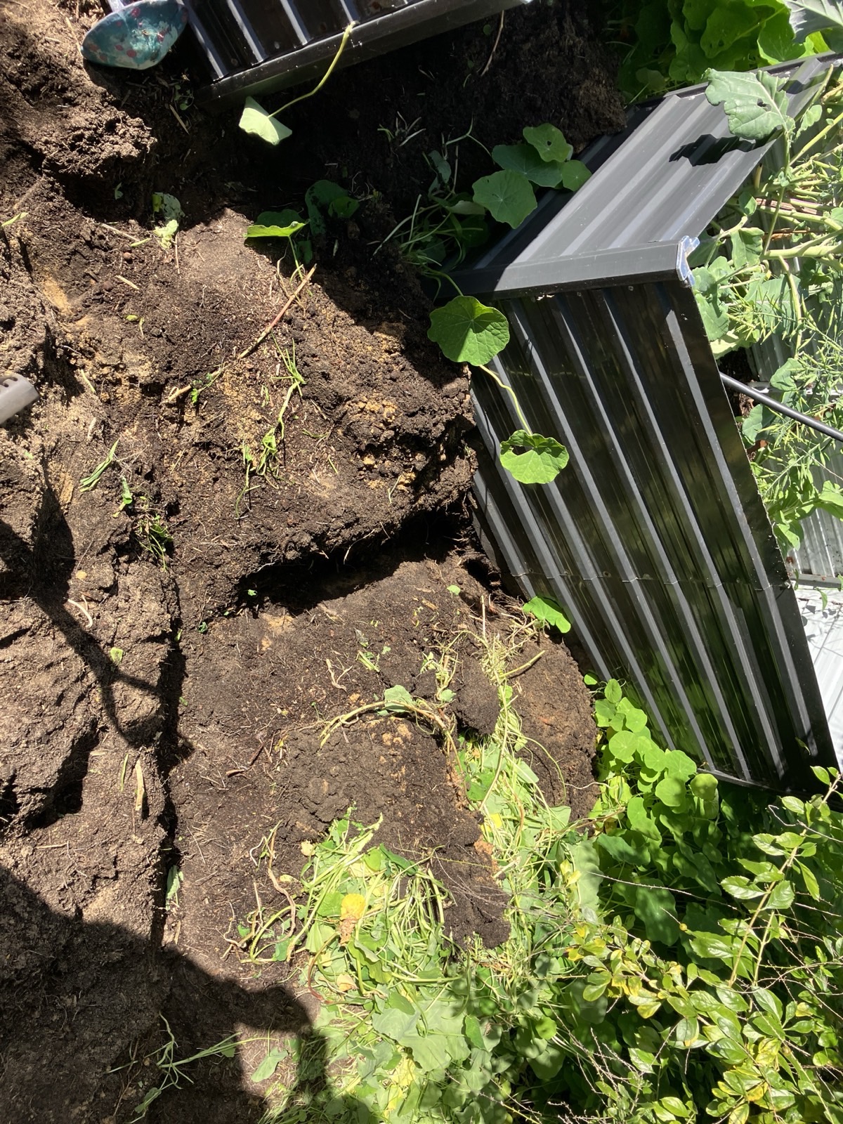 Reticulation work by Perth Reticulation Experts in Nollamara — job photo 7