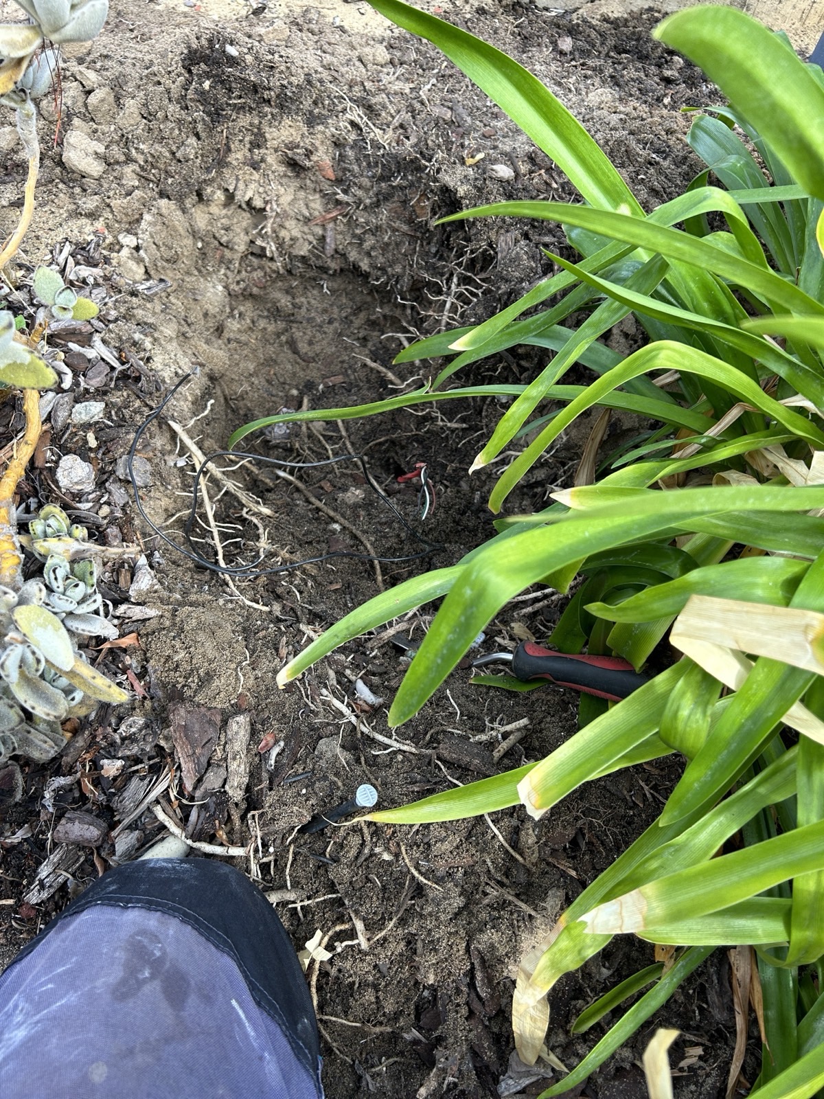 Reticulation work by Perth Reticulation Experts in Nollamara — job photo 8