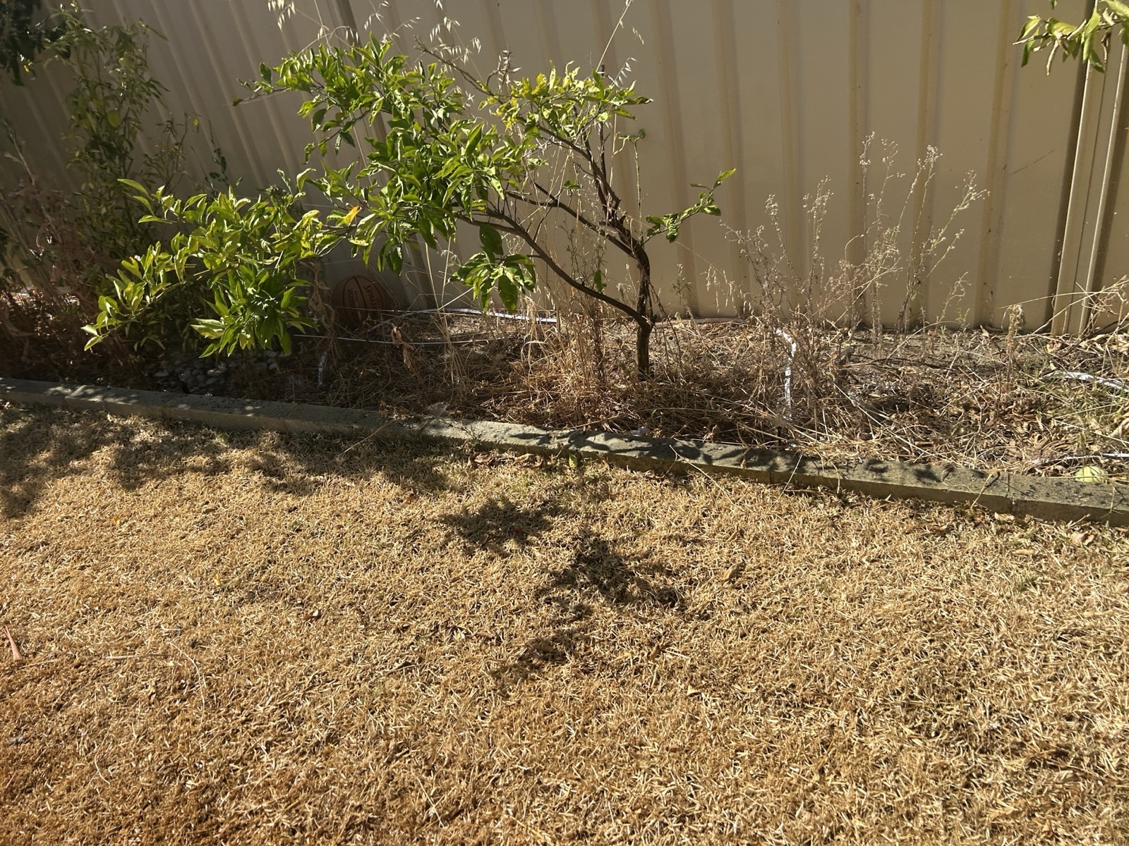 Reticulation work by Perth Reticulation Experts in Success — job photo 4