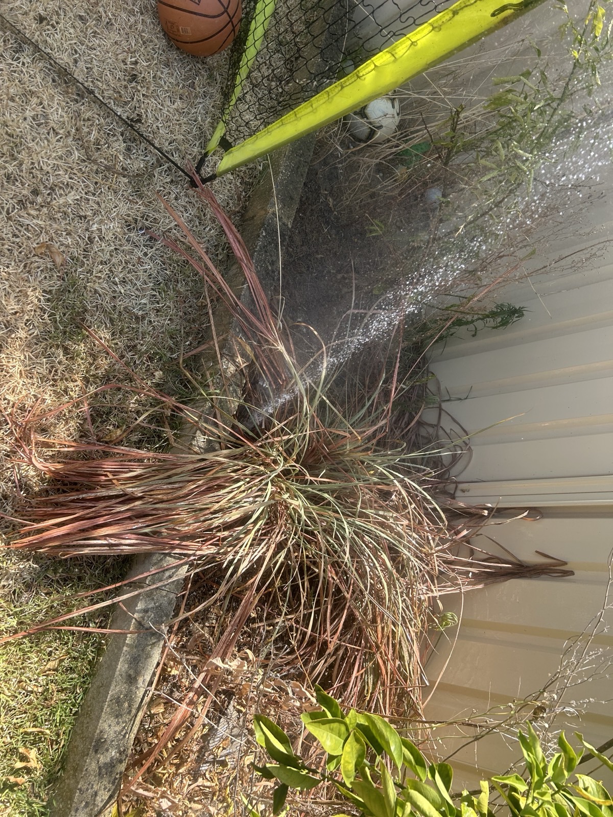 Reticulation work by Perth Reticulation Experts in Success — job photo 7