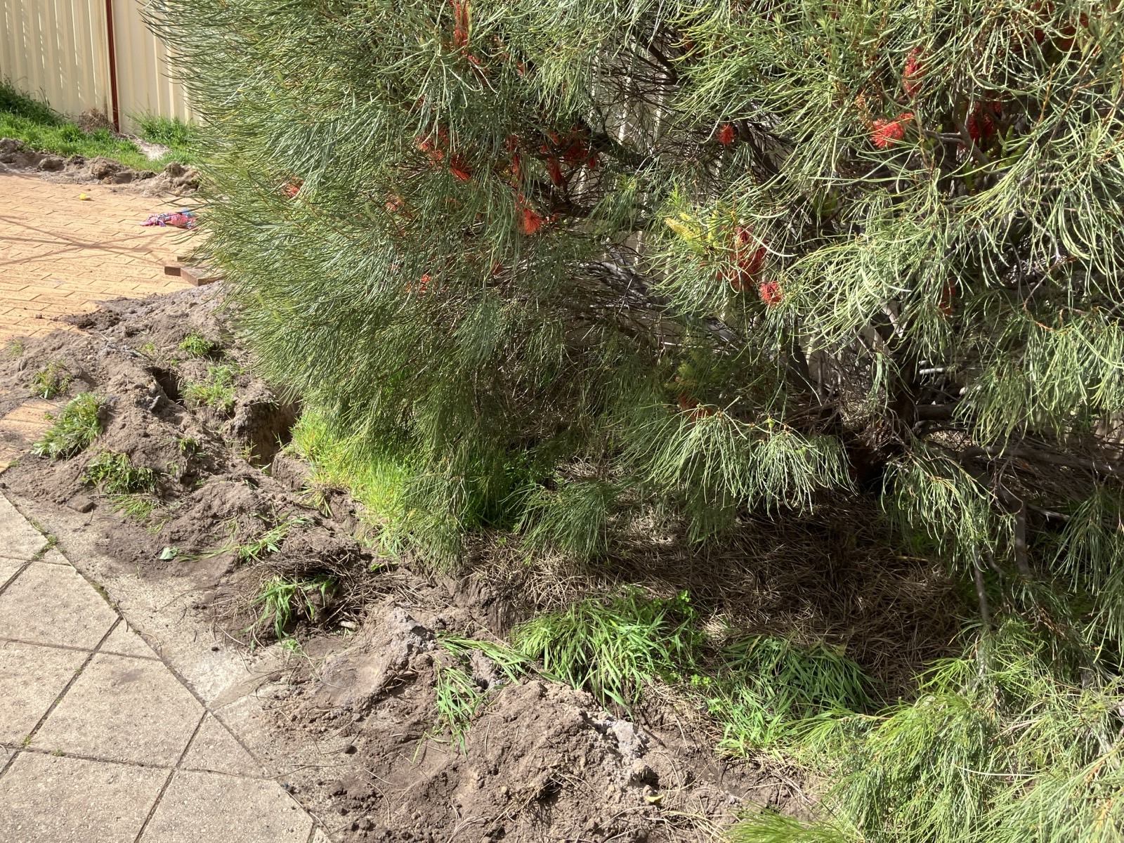 Reticulation work by Perth Reticulation Experts in Willetton — job photo 6