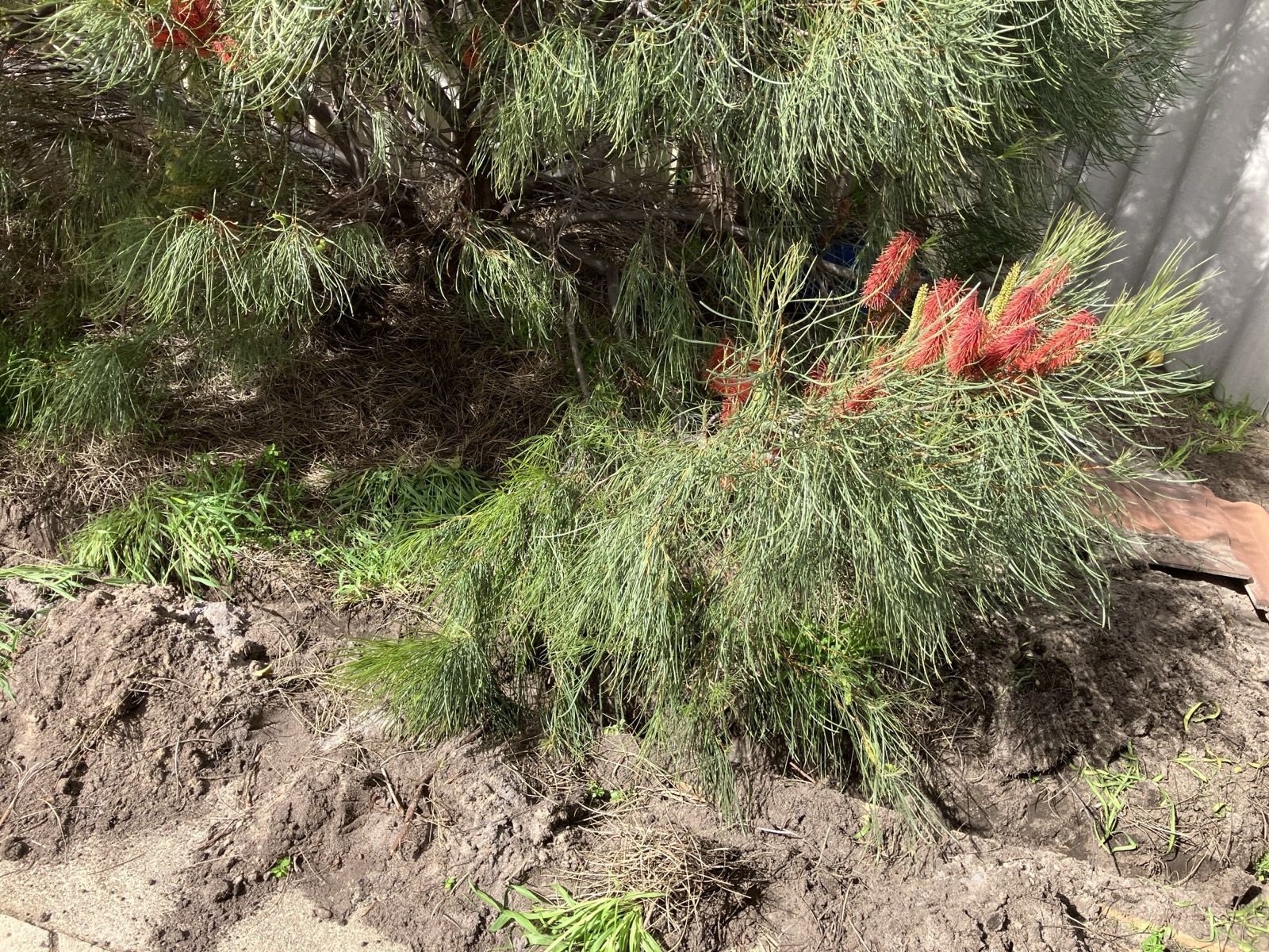 Reticulation work by Perth Reticulation Experts in Willetton — job photo 7