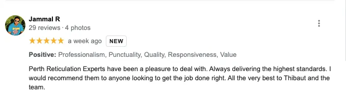 Google review for reticulation service