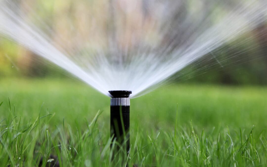How to Install the Best Irrigation System for Your Home