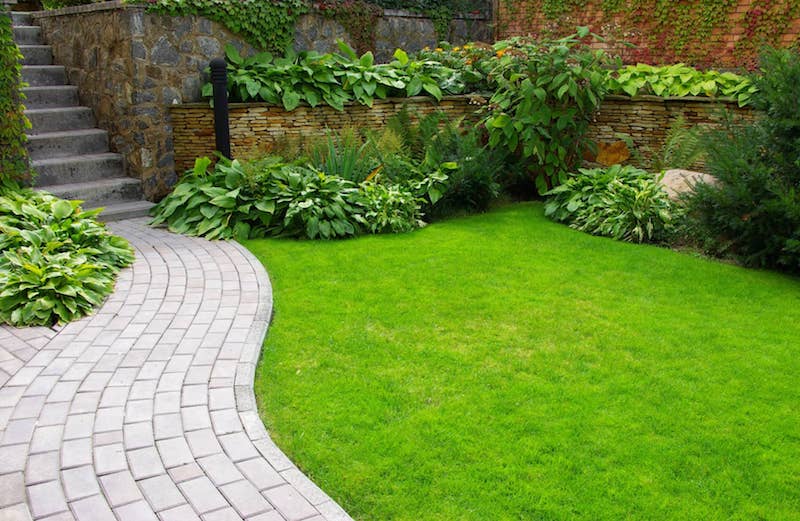 Why You Need Smart Irrigation for Your Low Maintenance Lawn