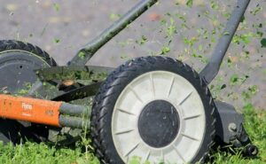 lawn mower perth cutting grass