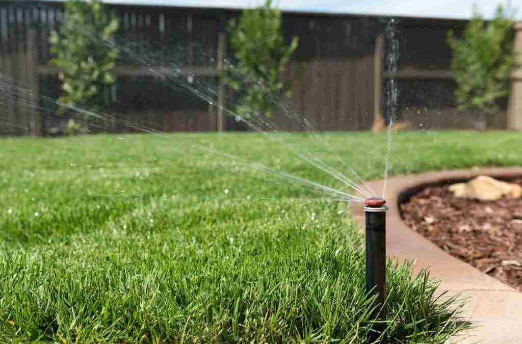 Winter Sprinkler Ban in Perth – All You Need to Know!