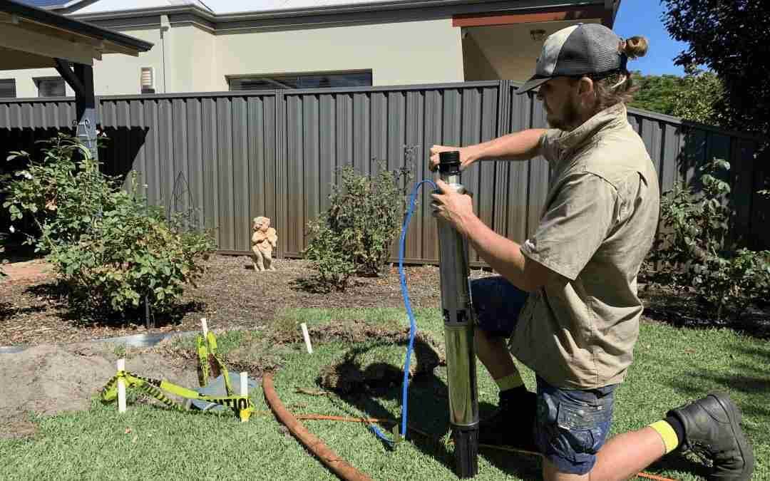 Regular Bore Checks Could Save Your Lawn – And Your Cash!