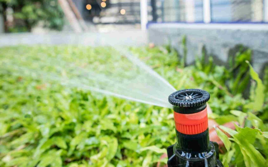 Choosing the Right Type of Sprinkler Head for Your Lawn
