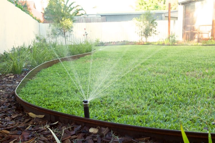 Irrigation: Spray or Sprinkler Irrigation