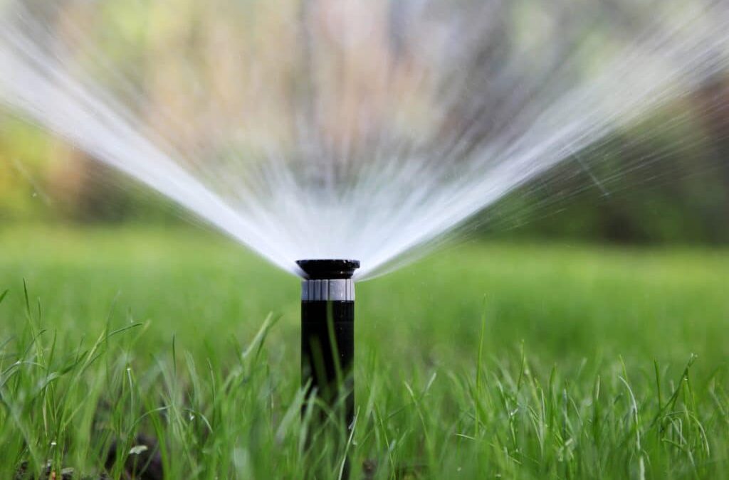 Expert Tips on How to Prevent Pop-up Sprinkler Damage