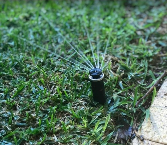 Reticulation sprinkler on green lawn